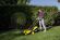 Газонокосарка Karcher LMO 18-33 Battery (1.444-400.0) (без АКБ та ЗП)
